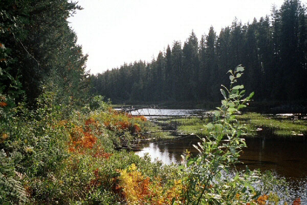 Scenic Wilderness at Argyle Lake Lodge